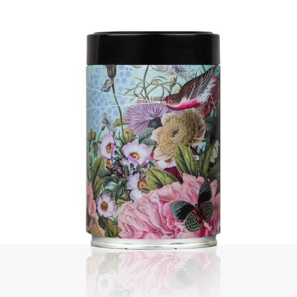 Pepita Coffeee - Alexandra Gallagher Art - Bird Song