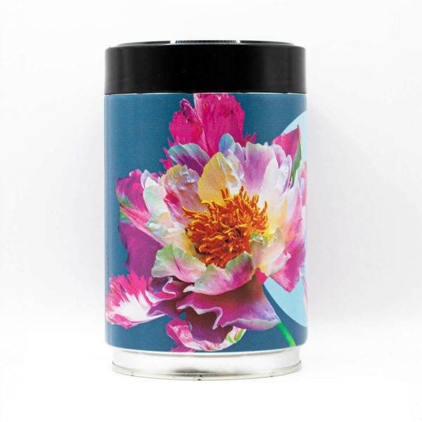 Pepita Coffee - Sophie Mess - Blue Circle