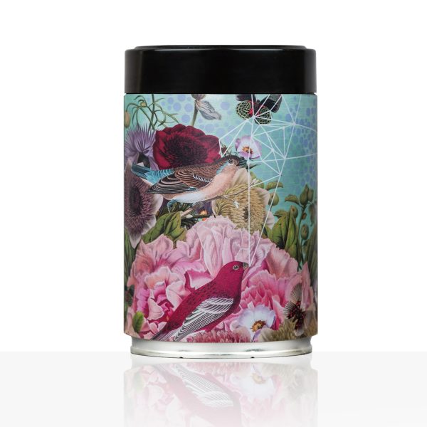 Alexandra Gallagher Art - Bird Song